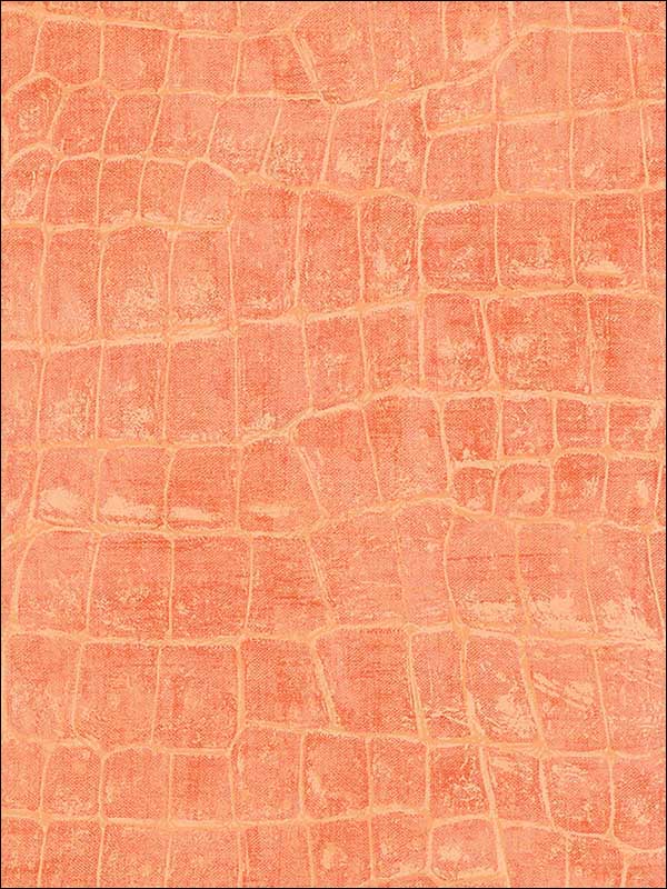 Curacao fabric in rust orange color - pattern number TA20516 - by Seabrook in the Tortuga collection
