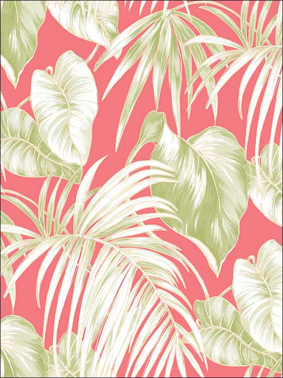 Dominica wallpaper in salmon green and white color - pattern number TA21601 - by Seabrook in the Tortuga collection
