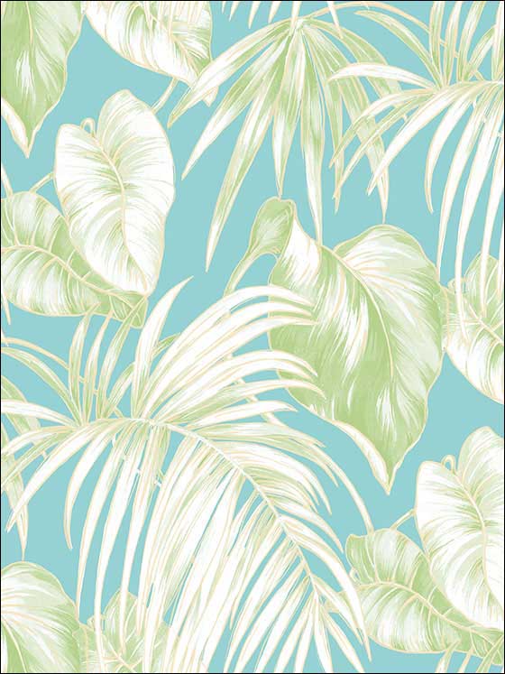 Dominica wallpaper in turquoise green and white color - pattern number TA21602 - by Seabrook in the Tortuga collection
