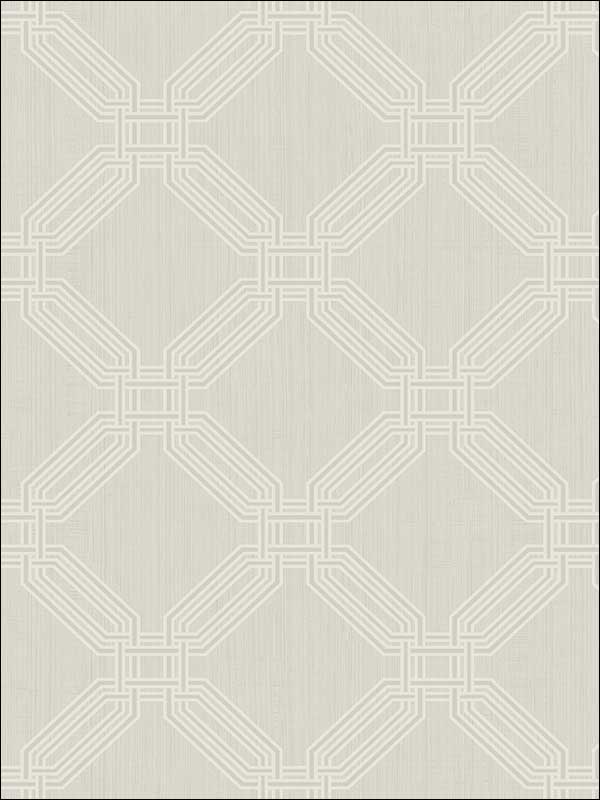 Interlocking Octagons with Raised Inks fabric in gray color - pattern number OY32307 - by Paper and Ink in the White on White collection