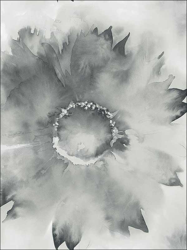 Watercolor Sunflower fabric in metallic silver and charcoal color - pattern number AH40500 - by Seabrook in the L Atelier De Paris collection