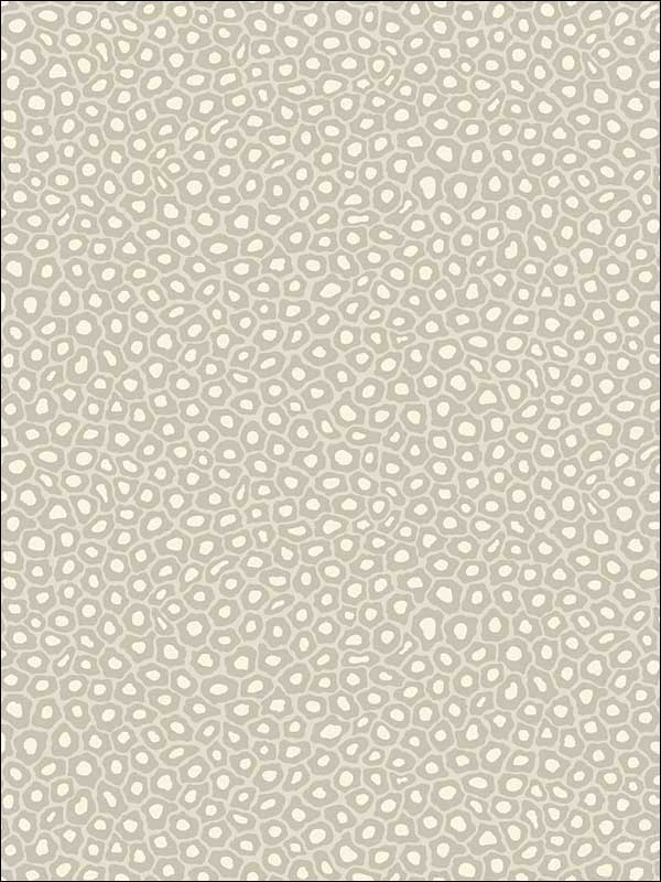 Senzo Spot fabric in stone and white color - pattern number 109/6030.CS.0 - by Cole and Son in the The Ardmore Collection collection