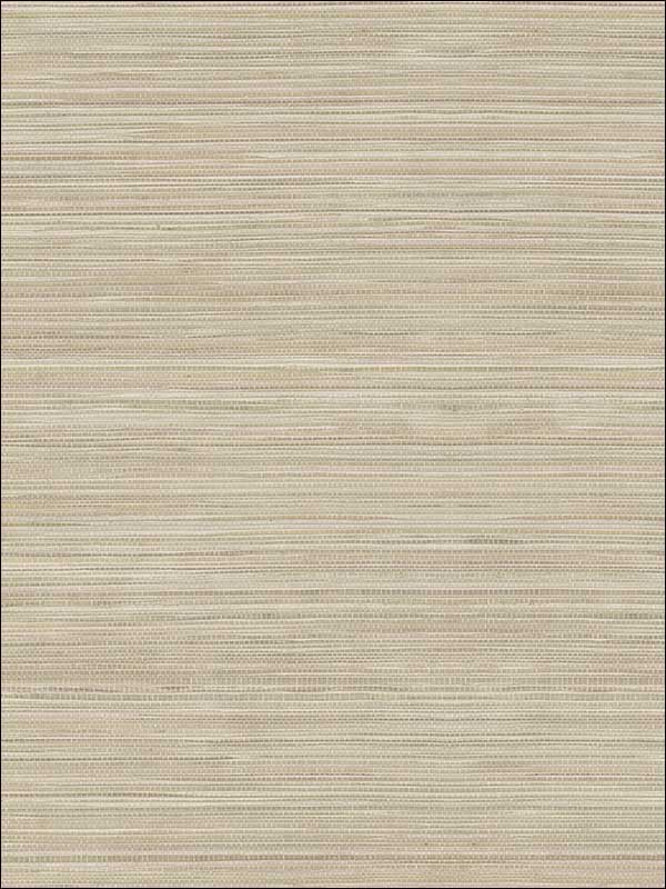 Faux Grasscloth fabric in brown taupe color - pattern number TL30107 - by Pelican Prints in the Rittenhouse Square collection