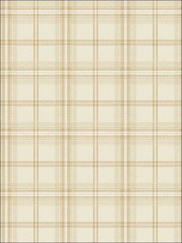 Plaid fabric in brown taupe color - pattern number TL31205 - by Pelican Prints in the Rittenhouse Square collection