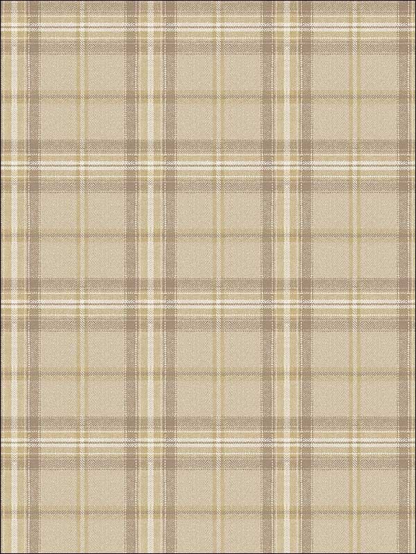 Plaid fabric in brown taupe color - pattern number TL31206 - by Pelican Prints in the Rittenhouse Square collection