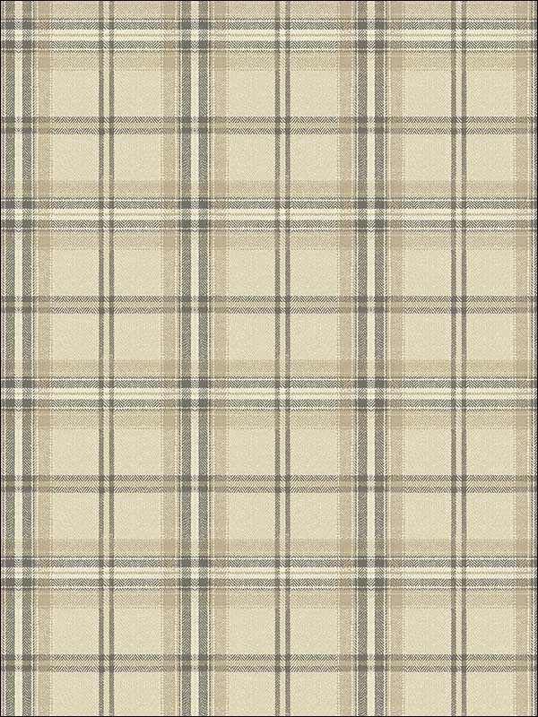 Plaid fabric in warm neutral beige color - pattern number TL31207 - by Pelican Prints in the Rittenhouse Square collection