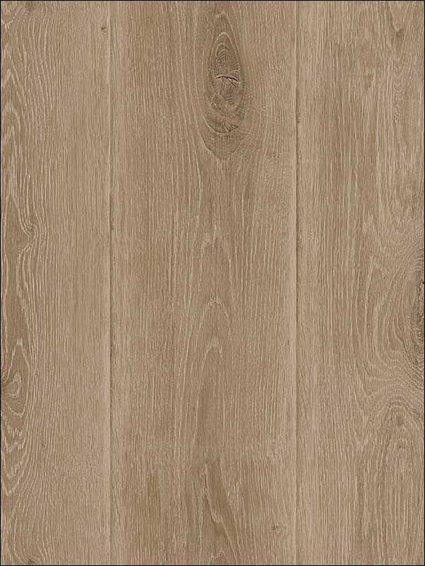 Wood Planks wallpaper in brown taupe color - pattern number TL31801 - by Pelican Prints in the Rittenhouse Square collection