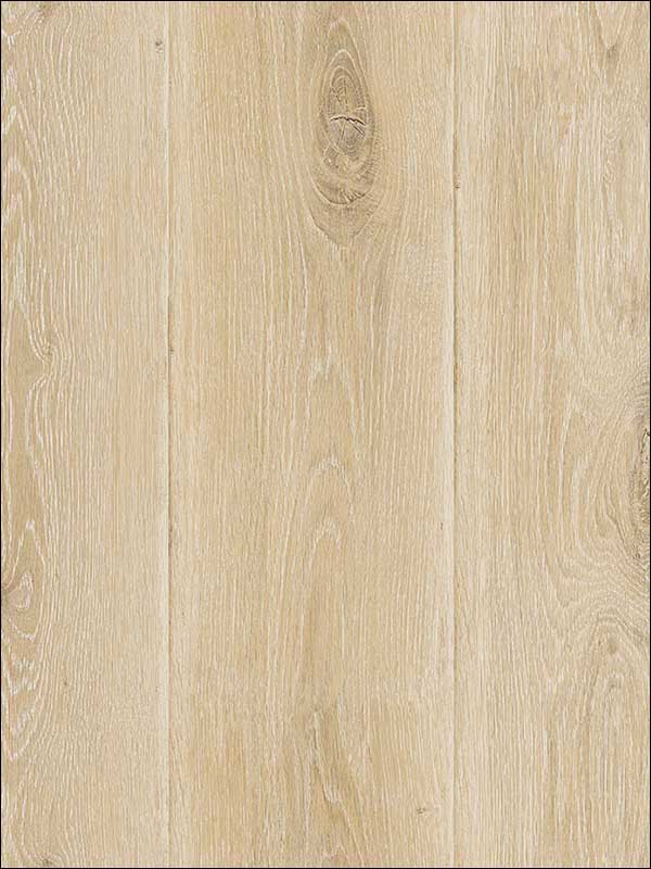 Wood Planks wallpaper in warm neutral beige color - pattern number TL31803 - by Pelican Prints in the Rittenhouse Square collection