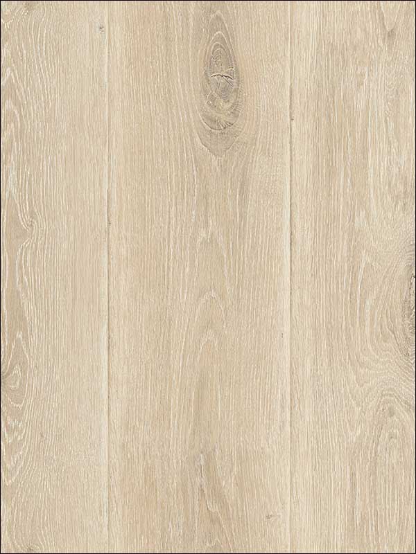 Wood Planks wallpaper in warm neutral beige color - pattern number TL31805 - by Pelican Prints in the Rittenhouse Square collection