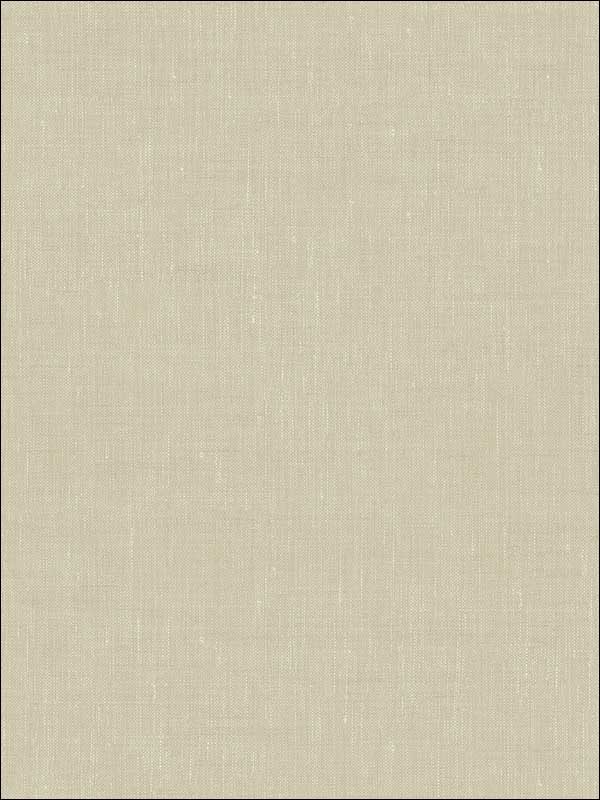 Linen Faux Finish fabric in brown taupe color - pattern number TL32706 - by Pelican Prints in the Rittenhouse Square collection