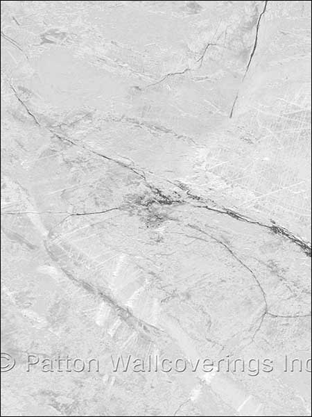 Carrara Marble fabric in slate color - pattern number LL29527 - by Patton Norwall in the Illusions 2 collection
