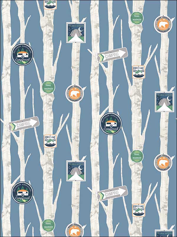 Camping Signs 2 Panel fabric in blue color - pattern number FA41800M - by Seabrook in the Playdate Adventure collection