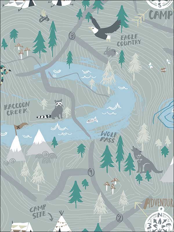 Campground fabric in steel gray color - pattern number FA41908 - by Seabrook in the Playdate Adventure collection