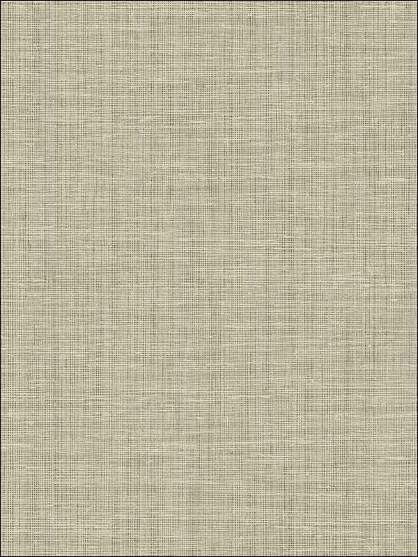 Textured fabric in gray neutrals color - pattern number 1430013 - by Seabrook in the Texture Anthology Vol 1 collection