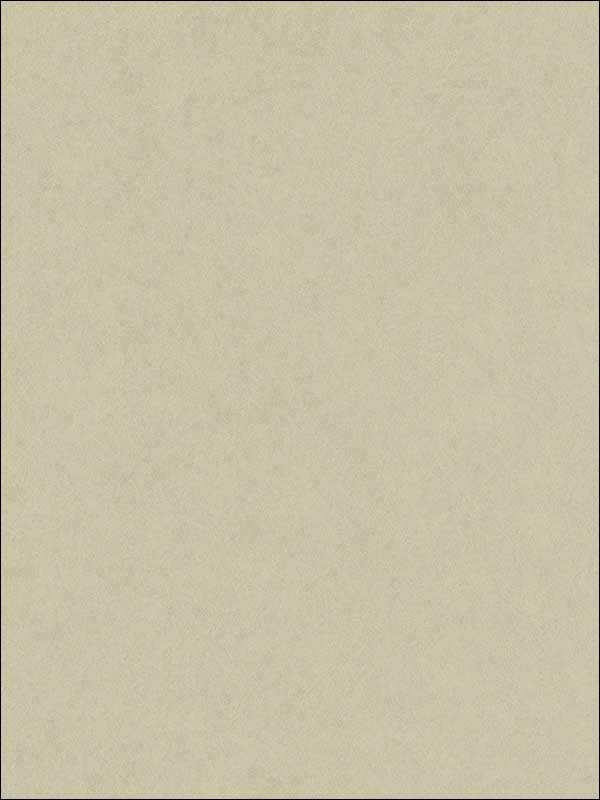Textured fabric in tan color - pattern number 1430300 - by Seabrook in the Texture Anthology Vol 1 collection