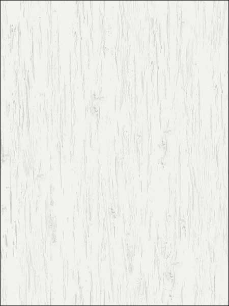 Alaska Birch Texture fabric in 50400 color - pattern number TH50400 - by Pelican Prints in the Destination USA collection