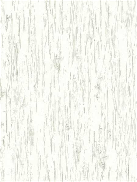 Alaska Birch fabric in 50408 color - pattern number TH50408 - by Pelican Prints in the Destination USA collection