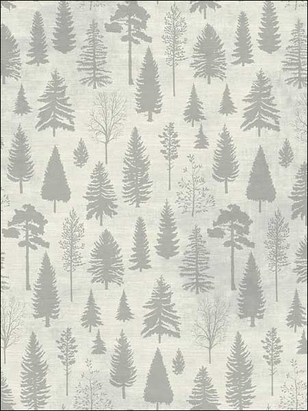 Colorado Pines fabric in 50704 color - pattern number TH50704 - by Pelican Prints in the Destination USA collection