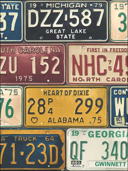 Detroit Licence Plates fabric in 52501 color - pattern number TH52501 - by Pelican Prints in the Destination USA collection