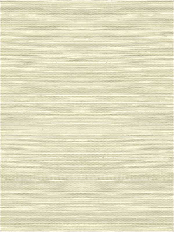 Grasscloth Look Textured wallpaper in 10315 color - pattern number RC10315 - by Wallquest in the Textures 27 in Type II Wallcoverings collection