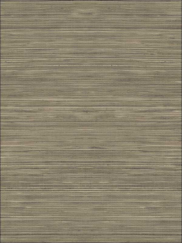 Grasscloth Look Textured wallpaper in 10326 color - pattern number RC10326 - by Wallquest in the Textures 27 in Type II Wallcoverings collection