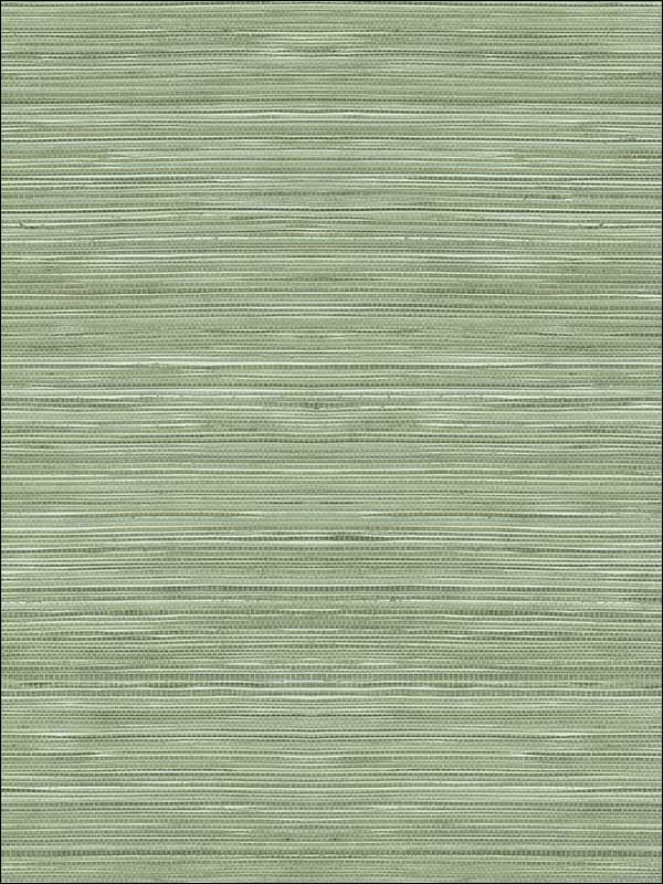 Grasscloth Look Textured wallpaper in 10338 color - pattern number RC10338 - by Wallquest in the Textures 27 in Type II Wallcoverings collection