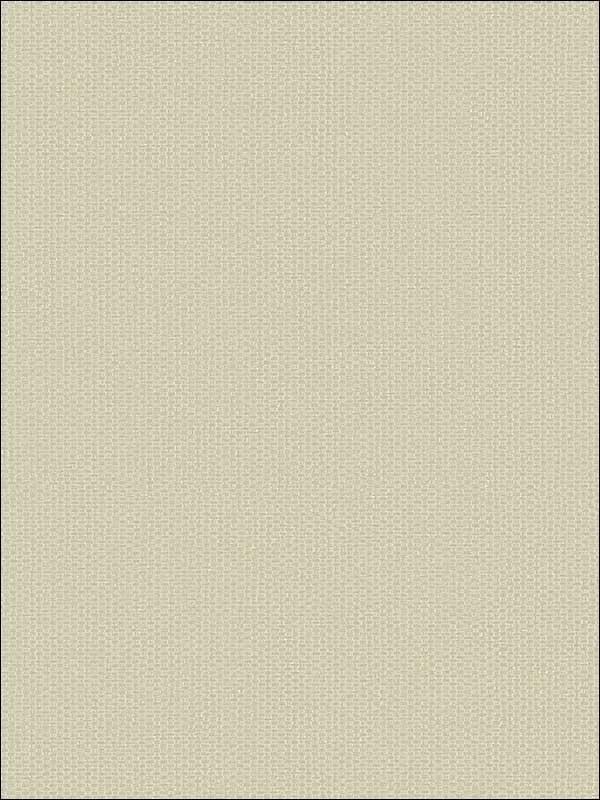 Grasscloth Look Weave Textured wallpaper in 10807 color - pattern number RC10807 - by Wallquest in the Textures 27 in Type II Wallcoverings collection