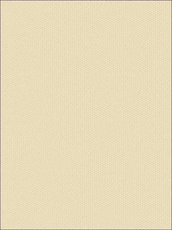Grasscloth Look Weave Textured wallpaper in 10816 color - pattern number RC10816 - by Wallquest in the Textures 27 in Type II Wallcoverings collection
