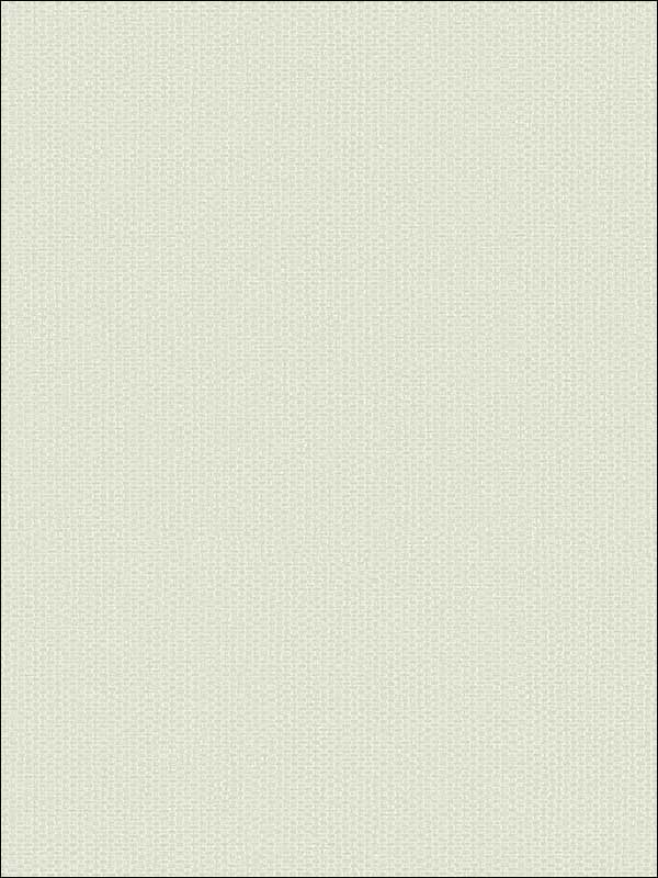 Grasscloth Look Weave Textured wallpaper in 10828 color - pattern number RC10828 - by Wallquest in the Textures 27 in Type II Wallcoverings collection