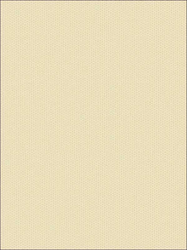 Grasscloth Look Weave Textured wallpaper in 10825 color - pattern number RC10825 - by Wallquest in the Textures 27 in Type II Wallcoverings collection