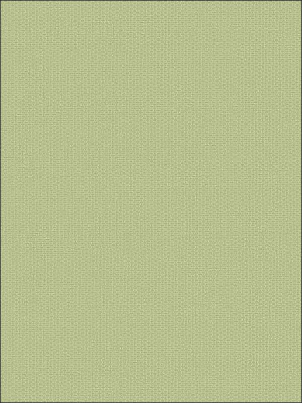 Grasscloth Look Weave Textured wallpaper in 10838 color - pattern number RC10838 - by Wallquest in the Textures 27 in Type II Wallcoverings collection