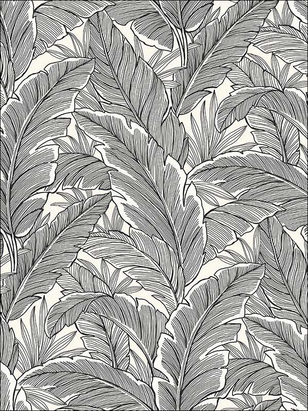 Ruffled Palm fabric in pearl and ebony color - pattern number UK10005 - by Seabrook in the Mica by Pear Tree Studios collection