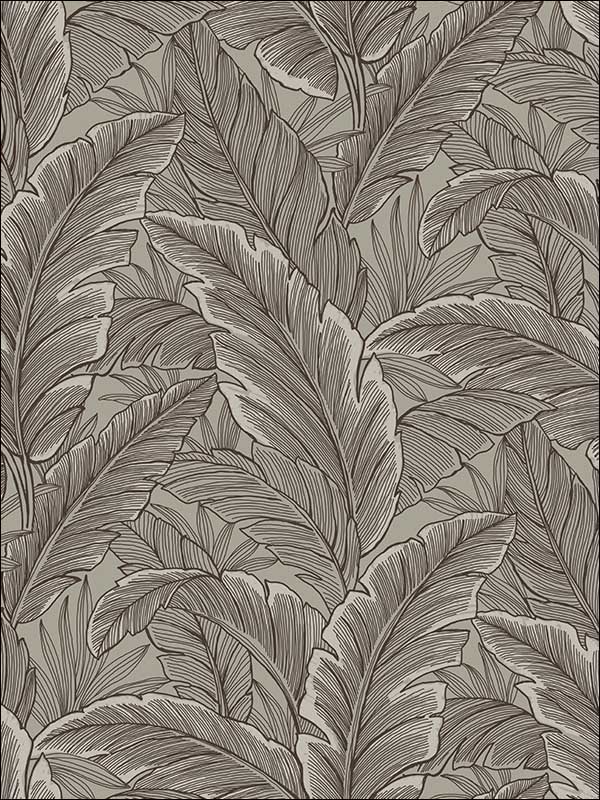 Ruffled Palm fabric in brown color - pattern number UK10018 - by Seabrook in the Mica by Pear Tree Studios collection