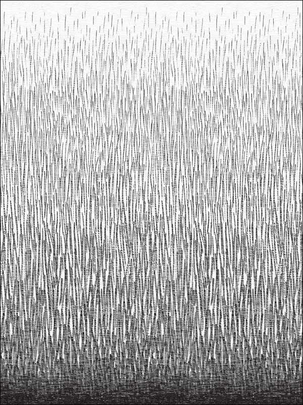 Amaya 2 Panel mural in black color - pattern number 2764-24363 - by A Street Prints in the Mistral collection