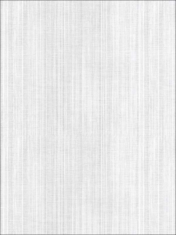 Asami Texture fabric in light grey color - pattern number HB25880 - by Patton Norwall in the Wall Finishes collection