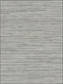 Grasscloth fabric in grey color - pattern number NT33705 - by Patton Norwall in the Wall Finishes collection