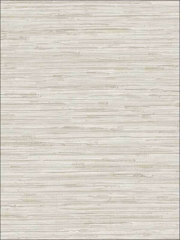 Grasscloth fabric in taupe color - pattern number NT33708 - by Patton Norwall in the Wall Finishes collection