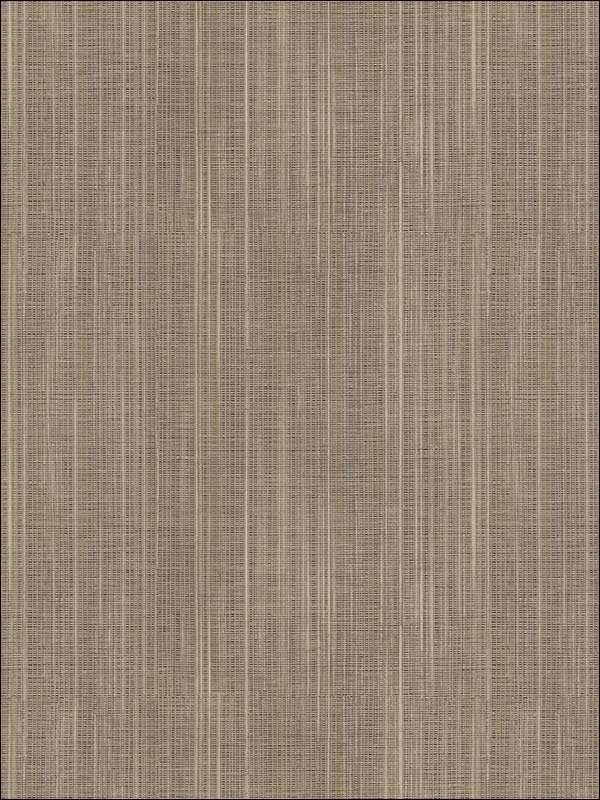 Asami Texture fabric in brown color - pattern number NT33713 - by Patton Norwall in the Wall Finishes collection