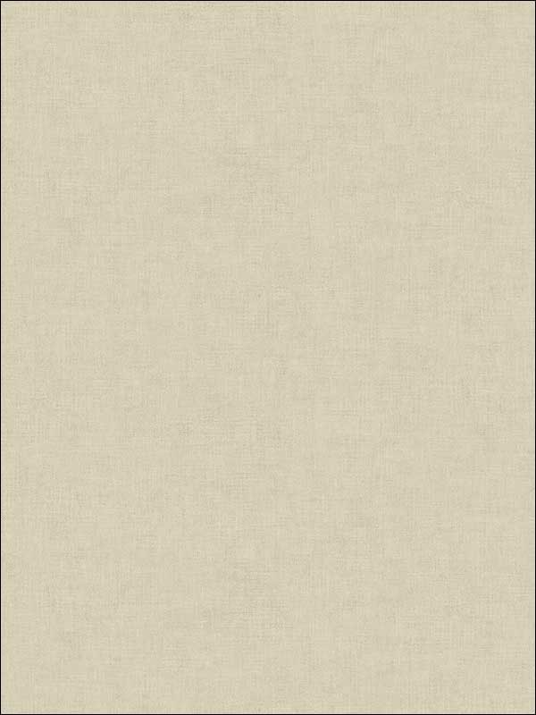 Mini Linen fabric in beige color - pattern number NT33721 - by Patton Norwall in the Wall Finishes collection