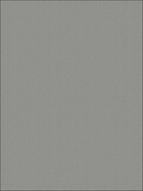 Waldorf Weave fabric in grey color - pattern number NT33731 - by Patton Norwall in the Wall Finishes collection