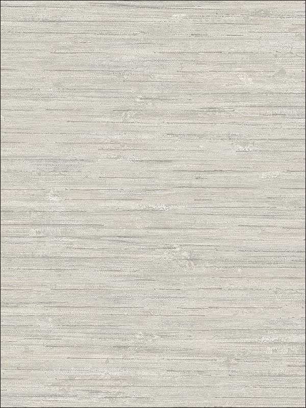 Papyrus Texture fabric in grey taupe color - pattern number NT33737 - by Patton Norwall in the Wall Finishes collection