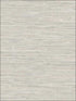 Papyrus Texture fabric in grey taupe color - pattern number NT33737 - by Patton Norwall in the Wall Finishes collection