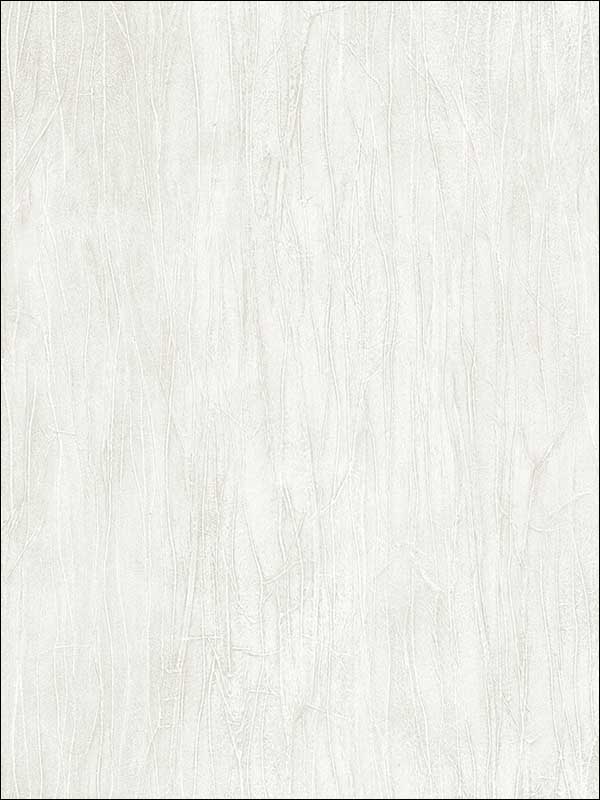 Frosty Texture fabric in taupe color - pattern number NT33739 - by Patton Norwall in the Wall Finishes collection