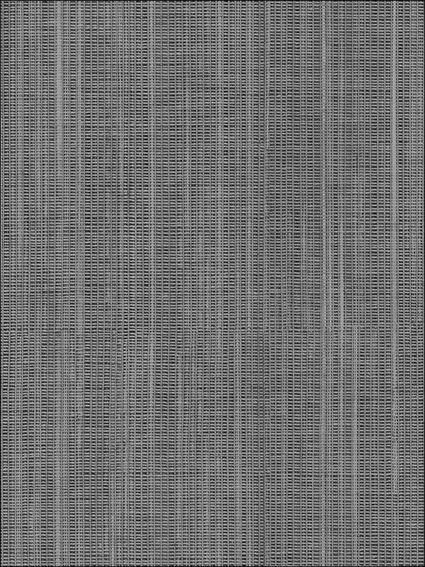 Asami Texture fabric in black color - pattern number WF36300 - by Patton Norwall in the Wall Finishes collection