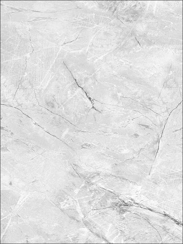 Carrara Marble fabric in grey color - pattern number WF36310 - by Patton Norwall in the Wall Finishes collection