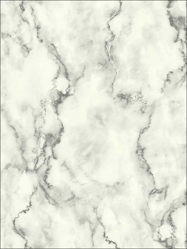 Marble fabric in gray color - pattern number MS90500 - by Pelican Prints in the Brownstone collection