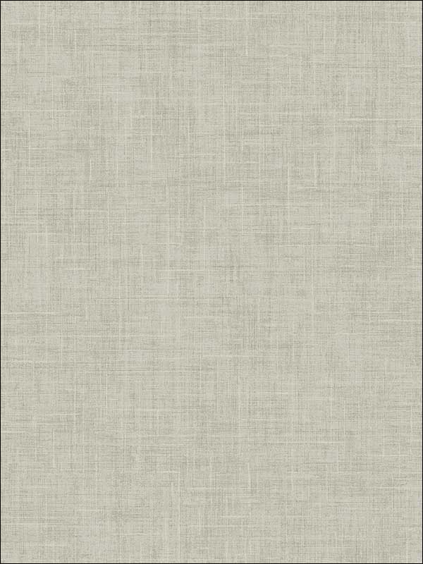 Linen Texture fabric in warm neutral and beige color - pattern number MS90803 - by Pelican Prints in the Brownstone collection