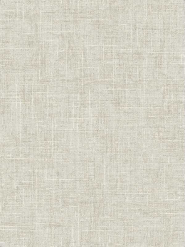 Linen Texture fabric in warm neutral and beige color - pattern number MS90809 - by Pelican Prints in the Brownstone collection
