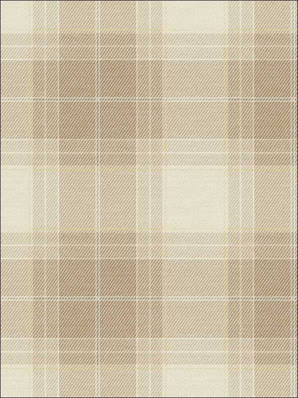 Plaid fabric in gray color - pattern number MS91005 - by Pelican Prints in the Brownstone collection