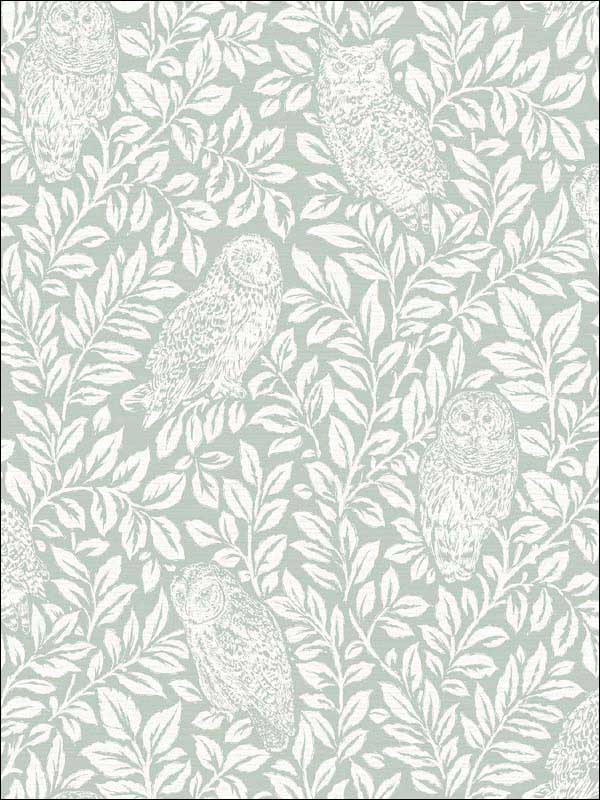 Parliament Owl wallpaper in teal color - pattern number 3115-12414 - by Chesapeake in the Farmhouse collection